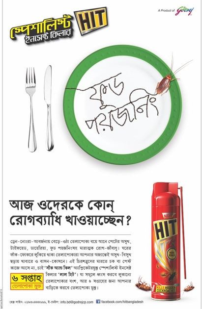 HIT Insect Killer static ad: Print ad for HIT Insect Killer, 2015.