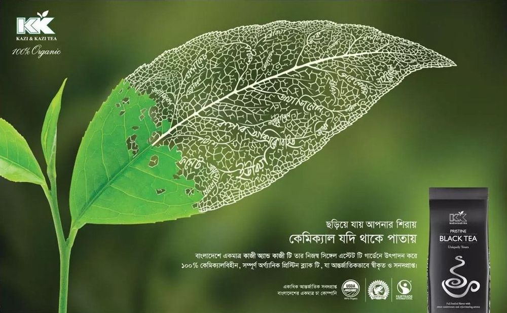 Kazi & Kazi Tea static ad: Kazi & Kazi Black Tea Press Ad.