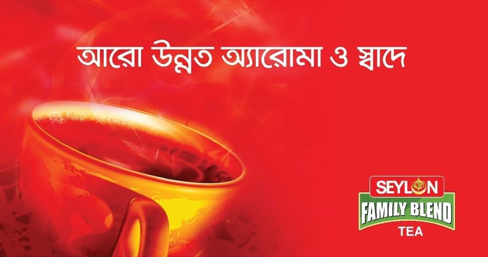 Seylon digital display: Digital display ad for Seylon, 2019.