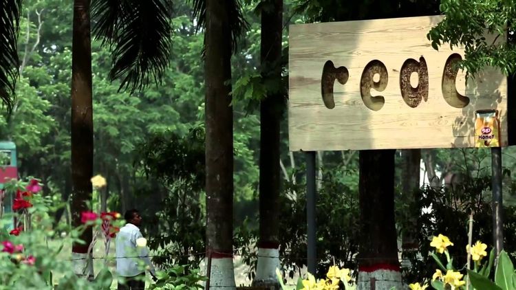 AP Honey OOH ad: Beeboard - Billboard that Produce Honey