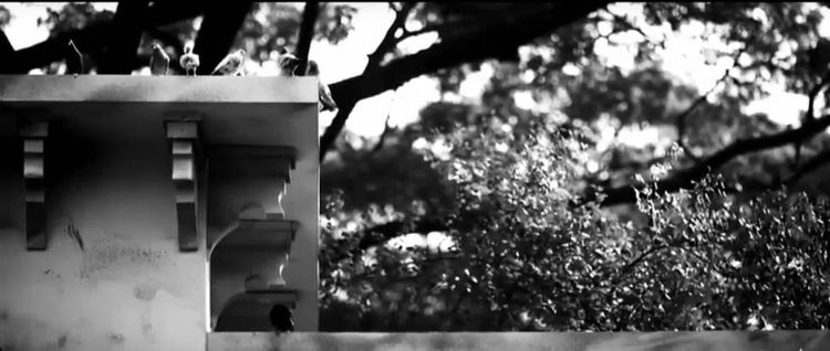 Robi Axiata TVC: TV commercial for Robi Axiata Limited, 2017.