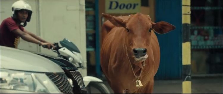 Fresh Milk Powder TVC: TV commercial for Fresh Milk Powder, 2018.